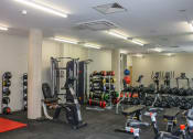 Thumbnail 11 of 50 - a picture of a gym with weights and cardio equipment
