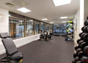 Thumbnail 6 of 49 - a gym with weights and other exercise equipment
