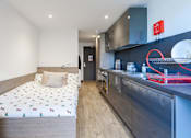 Thumbnail 10 of 48 - A bedroom with a bed, a kitchen area, and a red sculpture on the counter.