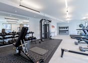 Thumbnail 41 of 48 - A gym with a variety of equipment including a squat rack, bench, and weights.