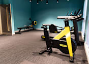Thumbnail 6 of 23 - A gym with a row of exercise bikes.