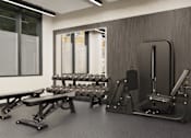 Thumbnail 31 of 34 - A gym with a variety of equipment including weights and a bench.