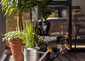 Thumbnail 12 of 23 - a patio with plants and watering cans on it