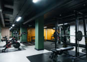Thumbnail 8 of 8 - a gym with weights and other exercise equipment