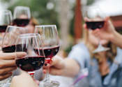 Thumbnail 12 of 20 - a group of people holding glasses of red wine