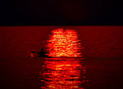 Thumbnail 20 of 20