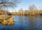 Thumbnail 7 of 12 - the river wye at symonds yat