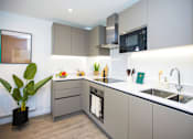 Thumbnail 14 of 23 - A modern kitchen with a sink, stove, and a potted plant.