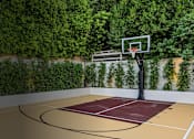 Thumbnail 1 of 4 - A basketball court with a net and a hoop is surrounded by greenery.