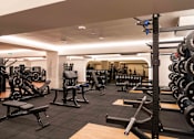 Thumbnail 12 of 24 - A gym with a variety of equipment including weights and machines.