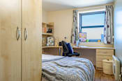 Thumbnail 6 of 13
