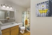 Thumbnail 25 of 27 - Bathroom With Vanity Lights at The Glen at Briargate, Colorado