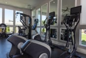 Thumbnail 21 of 40 - Solasta gym with various exercise machines and windows