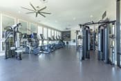 Thumbnail 26 of 40 - Resident fitness center Solasta