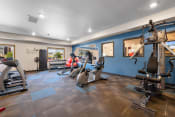 Thumbnail 68 of 126 - the gym at the whispering winds apartments in pearland, tx