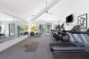 Thumbnail 13 of 13 - a gym with treadmills and other exercise equipment