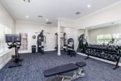 Thumbnail 19 of 24 - a gym with cardio equipment and exercise machines