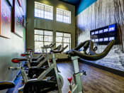 Thumbnail 18 of 23 - spin bikes fitness center