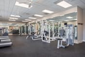 Thumbnail 8 of 34 - a photo of a gym with cardio equipment
