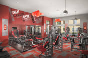 Thumbnail 12 of 21 - 24 hour fitness center with cardio equipment and weights