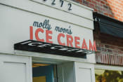 Thumbnail 28 of 30 - molly moons ice cream