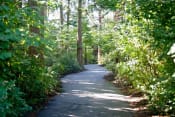 Thumbnail 34 of 44 - walkway with bushes and trees at Lionsgate South, Hillsboro, OR