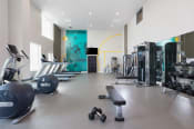 Thumbnail 25 of 40 - Fitness Studio