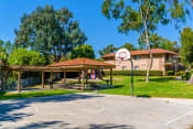 Thumbnail 8 of 16 - basketball court  at Softwind Point, Vista, California