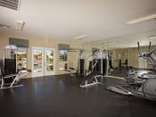 Thumbnail 22 of 26 - Gym equipment at  Springbrook Townhomes Apartments, Florida