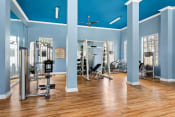 Thumbnail 23 of 28 - a gym with weights and other exercise equipment in a room with blue walls at Villages of Cypress Creek, Houston