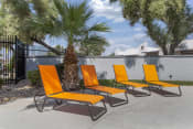 Thumbnail 10 of 33 - a group of orange lounge chairs on a sidewalk next to a palm tree