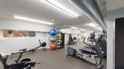 Thumbnail 20 of 36 - fitness center with exercise balls, and cardio machines at 2800 woodley apartments in washington dc