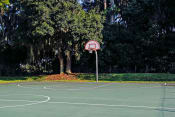 Thumbnail 22 of 23 - Basketball Court at Madison Park Road, Plant City, 33563