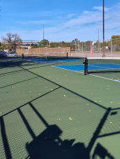 Thumbnail 9 of 11 - Pickleball Courts
