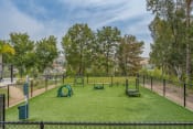 Thumbnail 5 of 48 - outdoor play area at Monterra Ridge Apartments,California