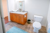 Thumbnail 6 of 9 - Luxurious Bathroom at Carr Apartments, Sylvania