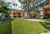 Thumbnail 38 of 40 - Apartments for Rent in Encino, CA - White Oak Terrace - Manicured Lawn, Palm Trees, and Exterior of the Apartment Complex