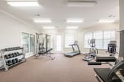 Thumbnail 8 of 16 - the enclave at homecoming terra vista fitness room