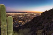 Thumbnail 2 of 3 - Cactus & Phoenix skyline photo at Marquee Apartments in Phoenix AZ