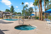 Thumbnail 4 of 15 - Spa and pool Area at Shorebird Apartments in Mesa Arizona