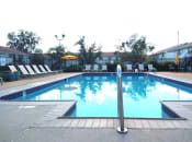 Thumbnail 12 of 32 - pool at Ascent Jones Apartments in Huntsville, Alabama