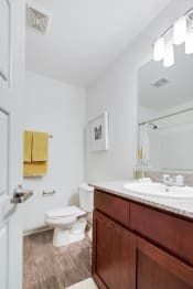 Thumbnail 9 of 24 - en-suite bathroom at Retreat at Brightside Apartments in Baton Rouge, LA