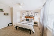 Thumbnail 8 of 25 - spacious bedroom with natural light at Midtown Oaks Townhomes in Mobile, AL