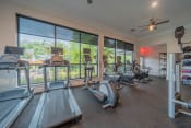 Thumbnail 15 of 21 - the gym has plenty of cardio equipment and large windows