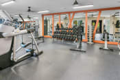 Thumbnail 19 of 39 - a gym with weights and cardio equipment in a building with orange walls