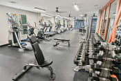 Thumbnail 18 of 39 - a gym with cardio equipment and weights on the floor
