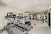 Thumbnail 13 of 25 - a gym with treadmills and other exercise equipment