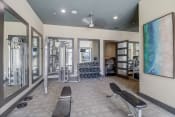 Thumbnail 31 of 50 - a fitness room with cardio machines and a large painting on the wall