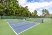 Thumbnail 12 of 18 - Pickleball Courts