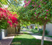 Thumbnail 12 of 26 - Lush Green Courtyard With Walking Paths at Aztec Springs Apartments, Arizona, 85207